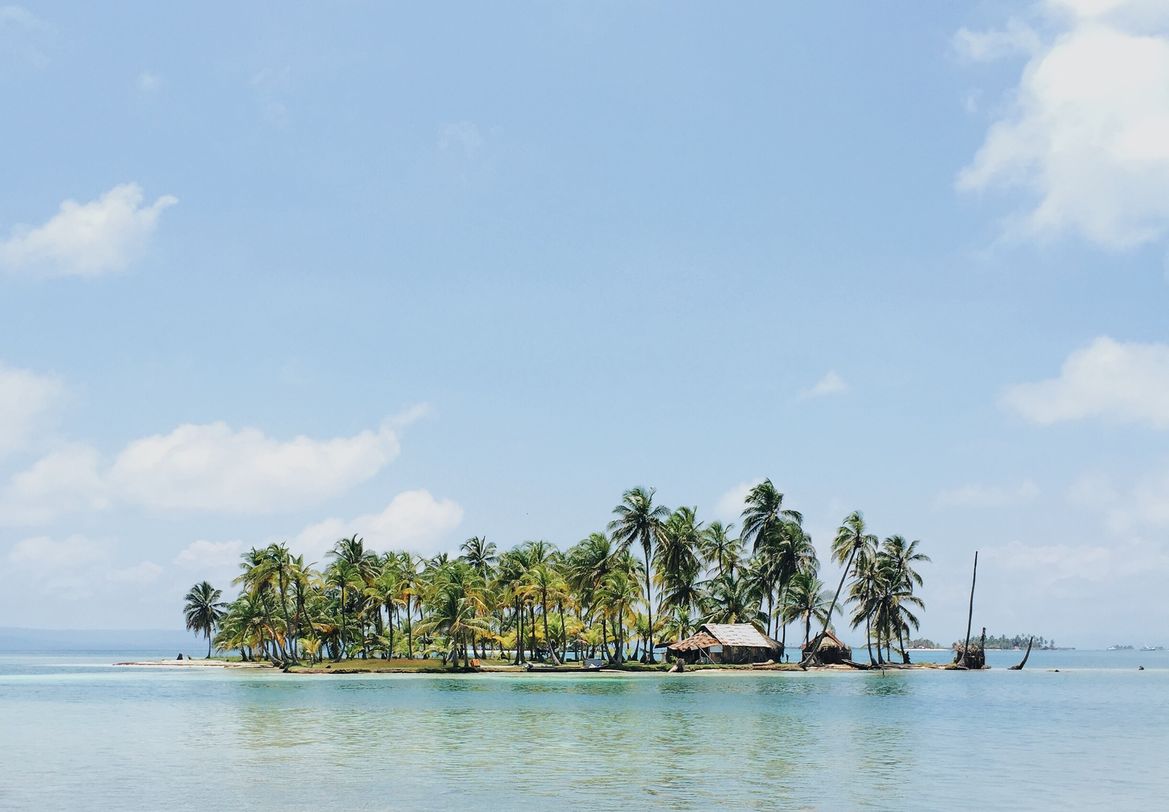 cluster of palm trees on small island surrounded by light blue water